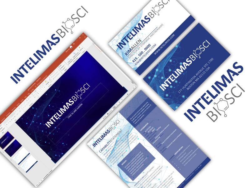 Intelimas Case Study